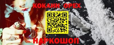spice Гатчина