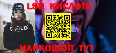spice Гатчина