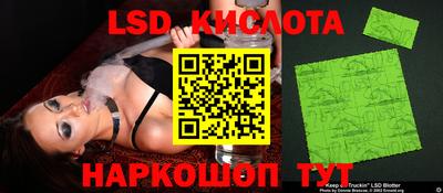 spice Гатчина