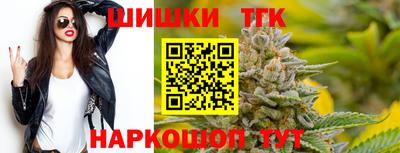 spice Гатчина