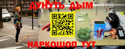 spice Гатчина