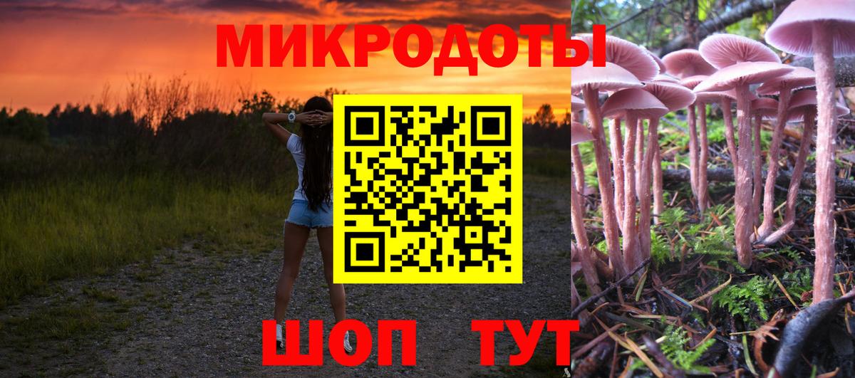 Галлюциногенные грибы ЛСД Гуково